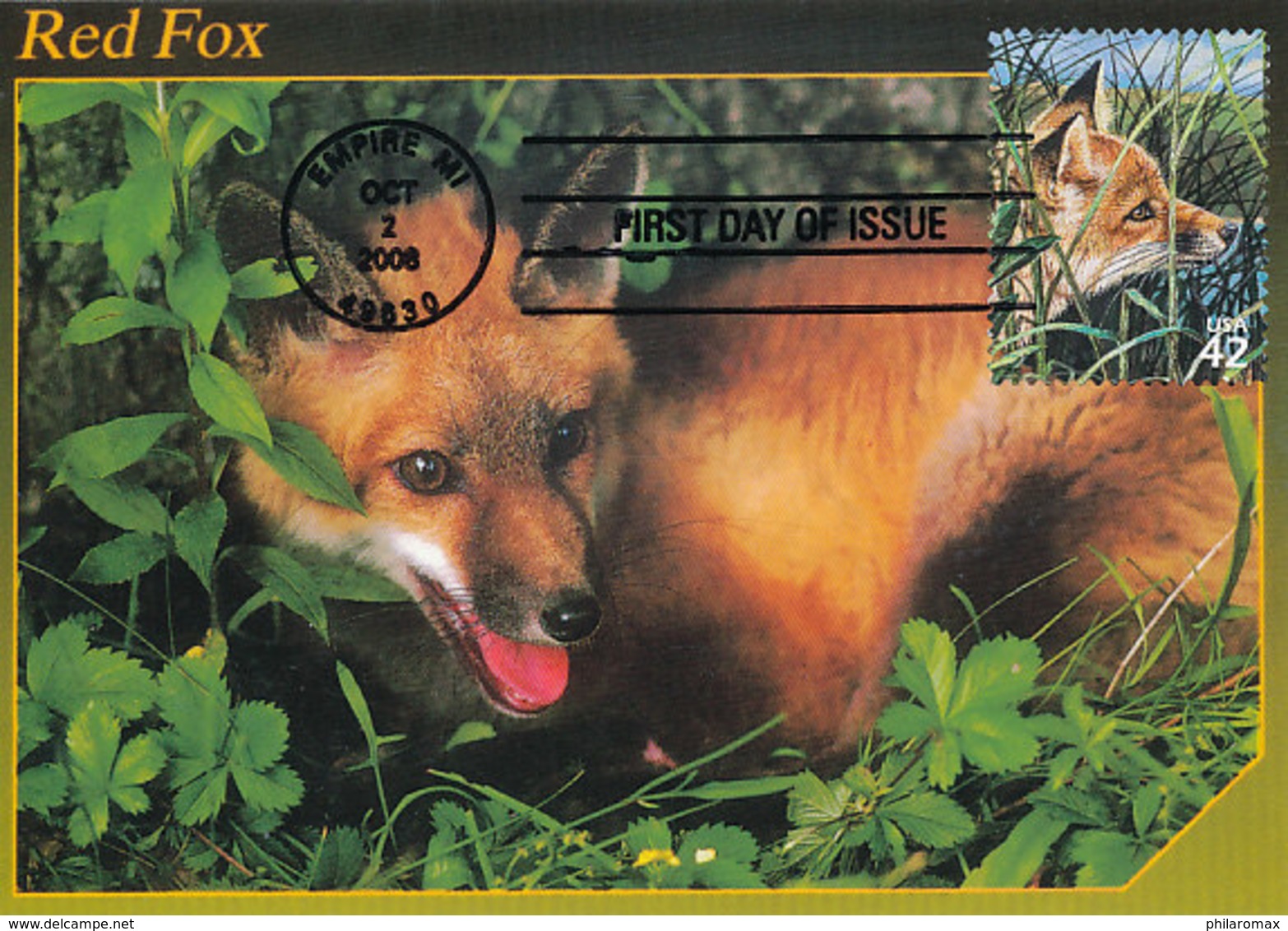 D33641 CARTE MAXIMUM CARD FD 2008 USA - RED FOX FUCHS RENARD CP ORIGINAL - Autres & Non Classés