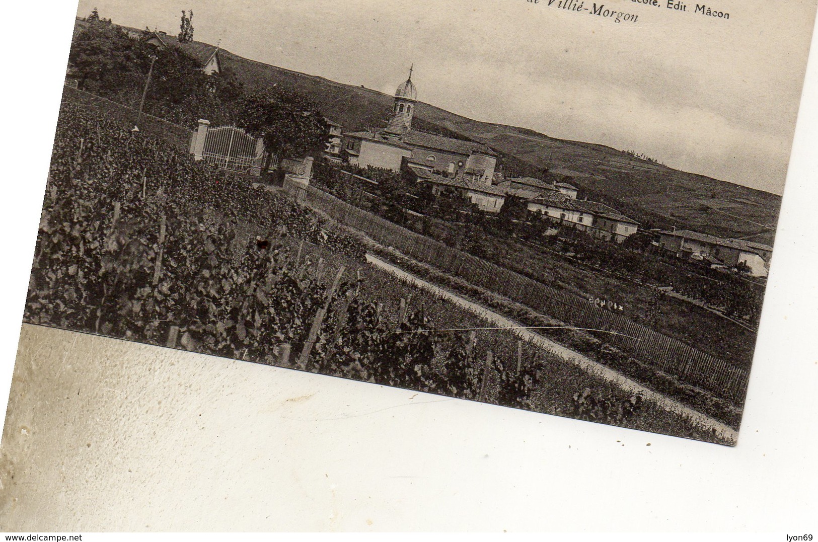 CHIROUBLES  DEPUIS LA ROUTE DE VILLIE MORGON  DOS VERT - Chiroubles