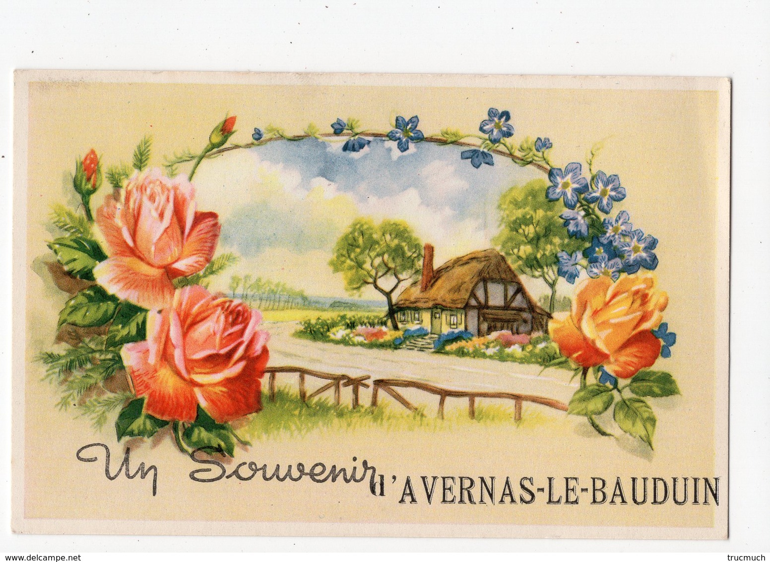 10 - HANNUT  -  Un Souvenir D' AVERNAS-LE-BAUDUIN - Hannuit