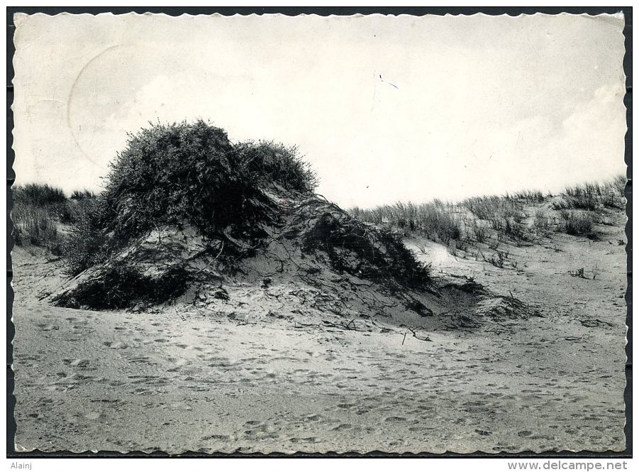 CP   Oostduinkerke   ---   Dunes... - Oostduinkerke