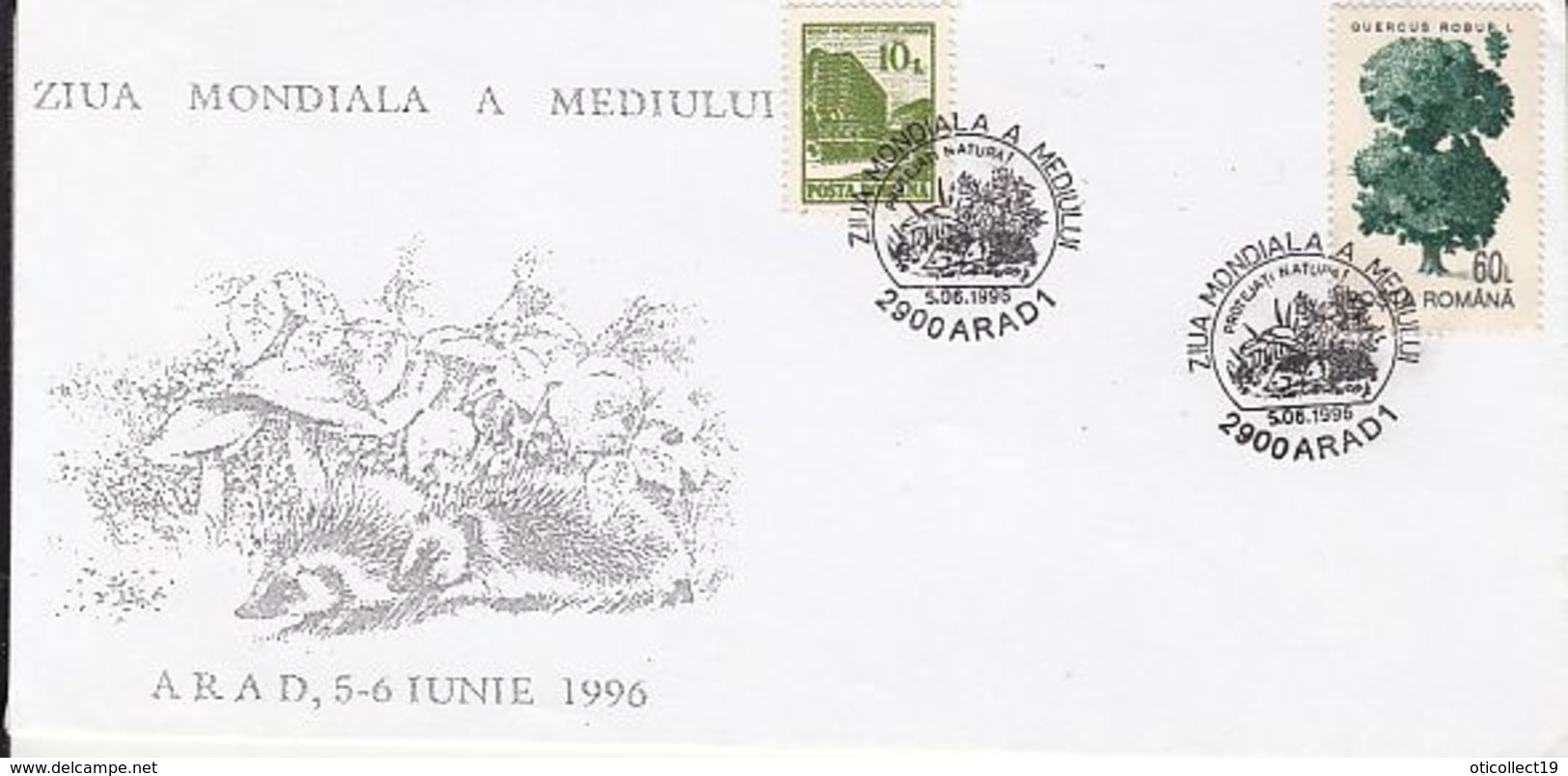 MUSHROOMS, HEDGEHOG, TREE, ENVIRONEMENT DAY, SPECIAL COVER, 1996, ROMANIA - Champignons