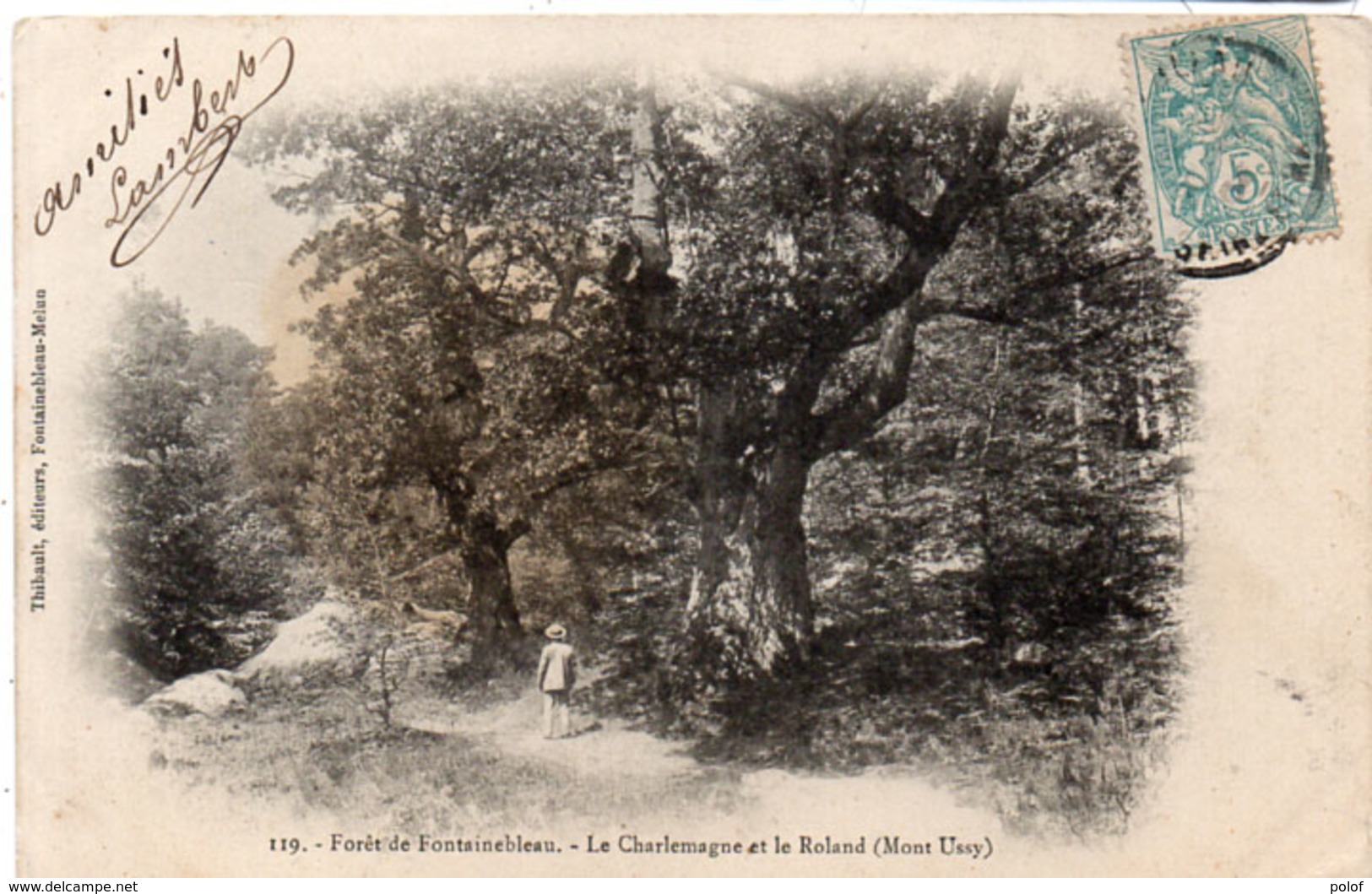 Foret De FONTAINEBLEAU - Le Charlemagne Et Le Roland (Mont Ussy) (106009) - Árboles