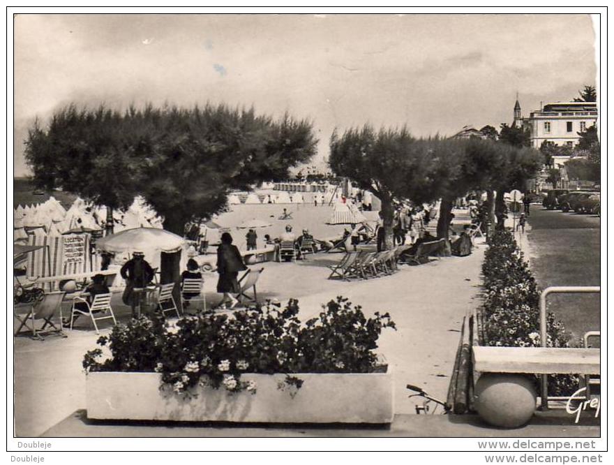 D33  ARCACHON Le Boulevard Promenade     ............. .  (  A557 ) - Arcachon