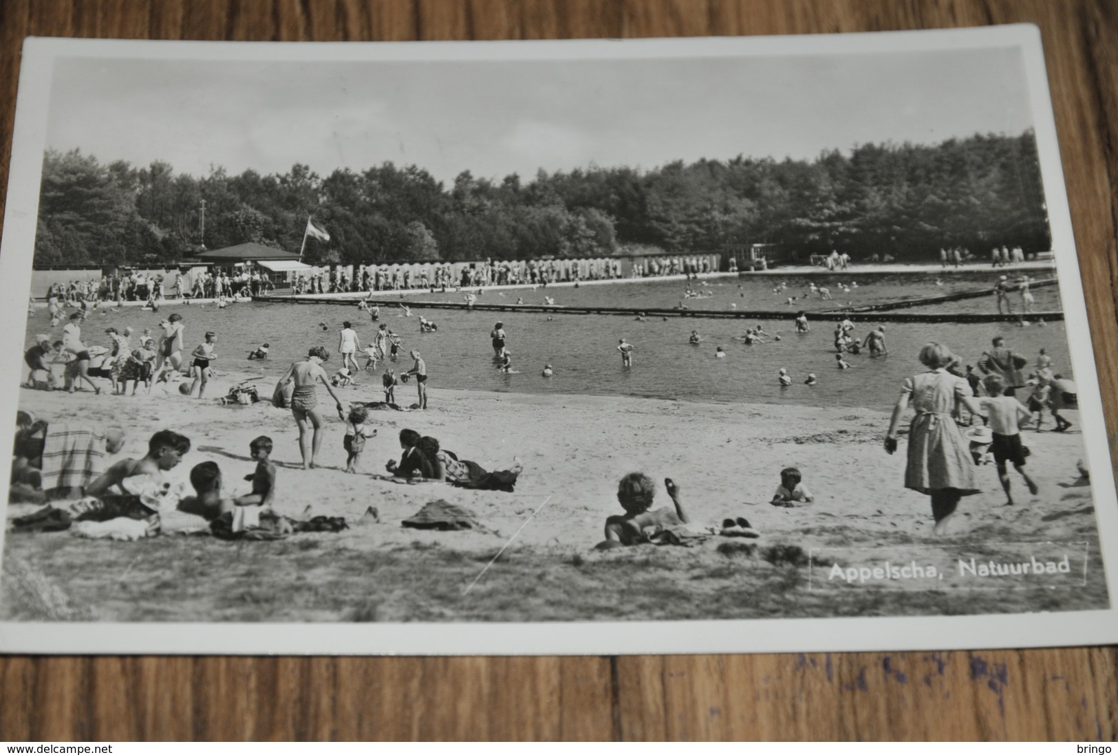 179- Appelscha, Natuurbad - 1960 - Autres & Non Classés