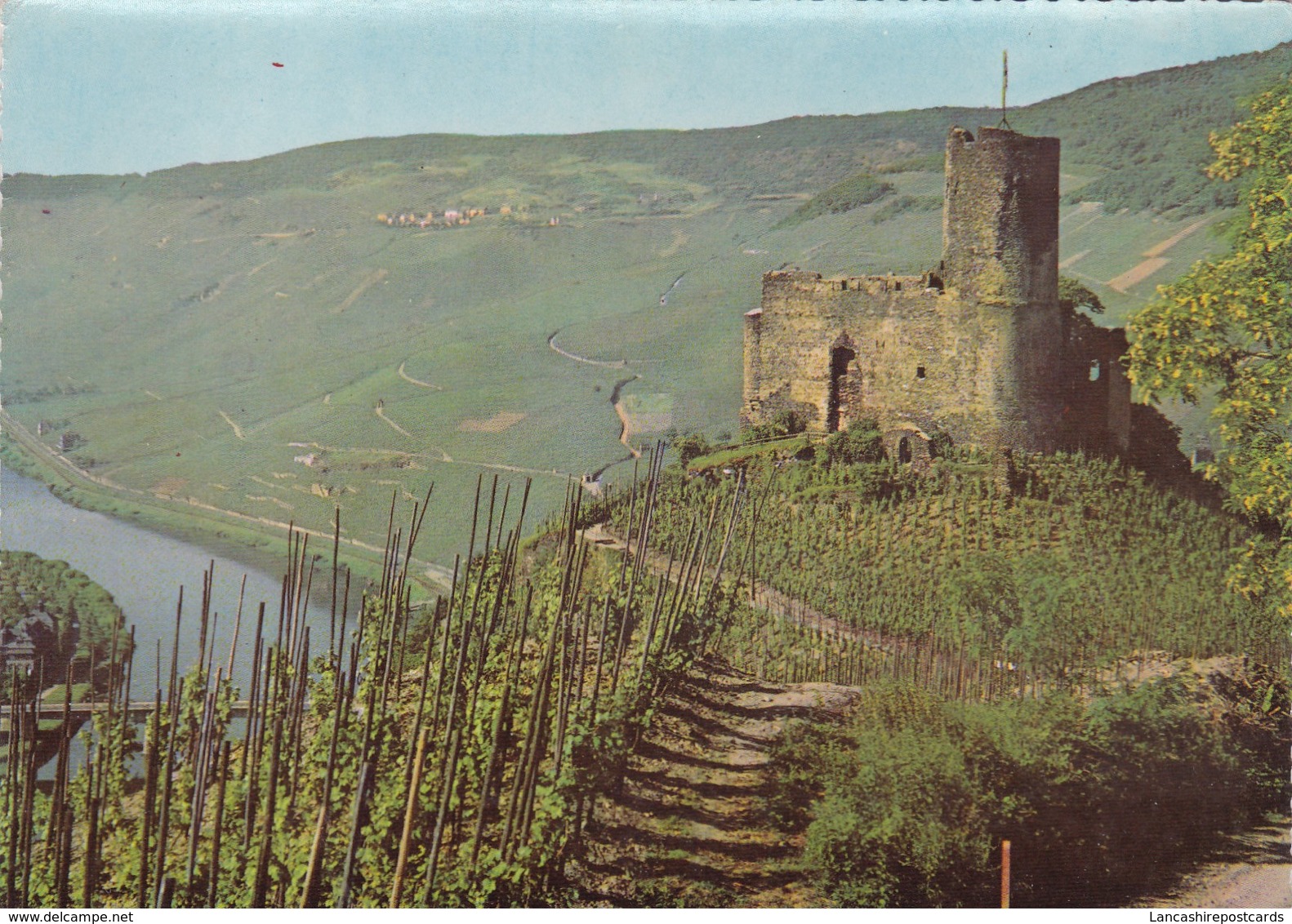 Postcard Vine Cultivation On The Mosel Germany My Ref  B22583 - Vines