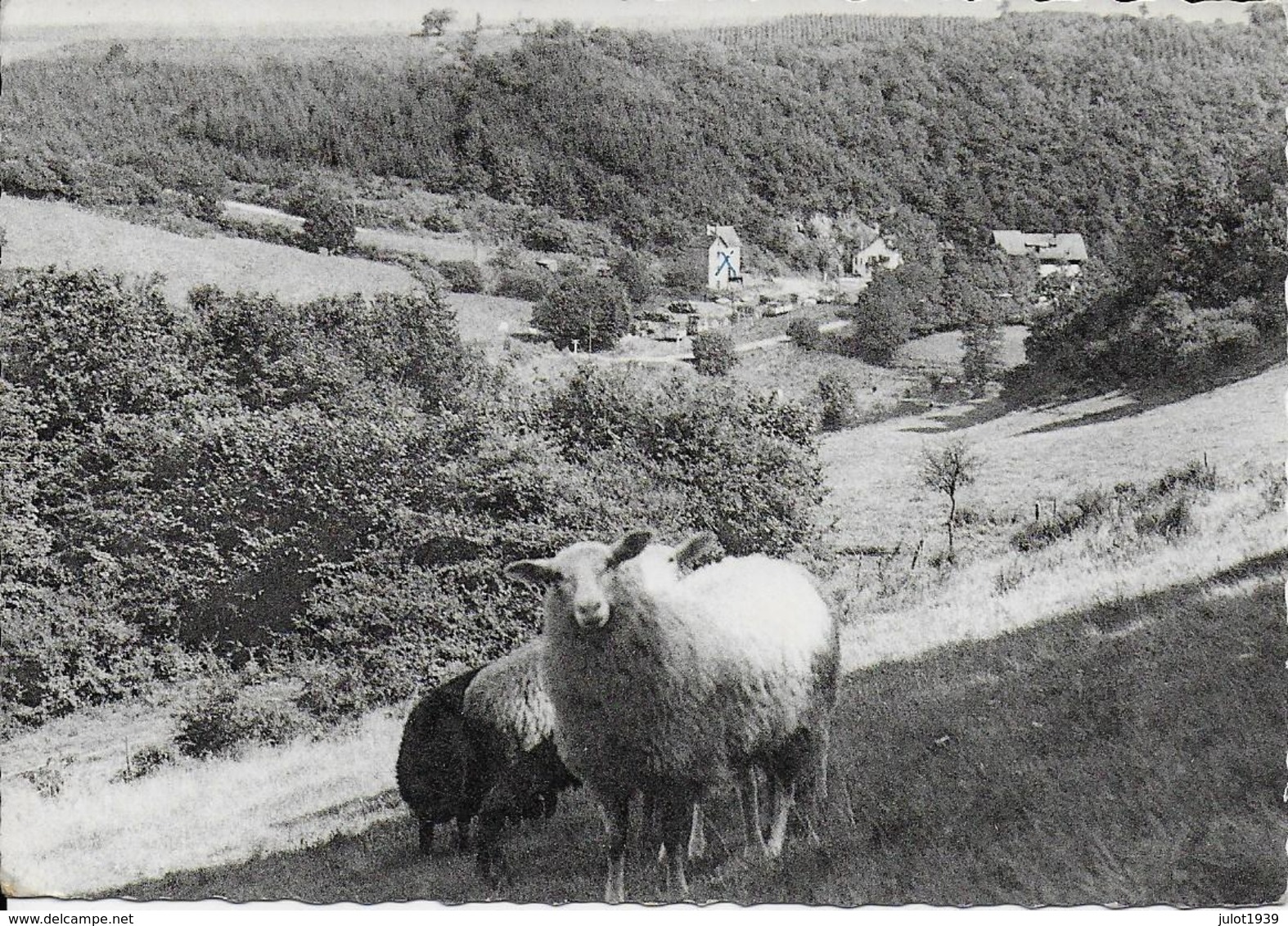 BODANGE ..-- Coin Pittoresque .1961 Vers GENTBRUGGE . Voir Verso . - Fauvillers