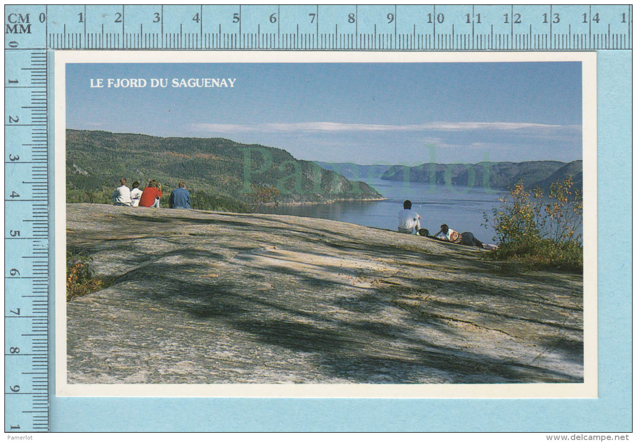Saguenay Quebec - Le Fjord -  Carte Postale, Postcard - Autres & Non Classés