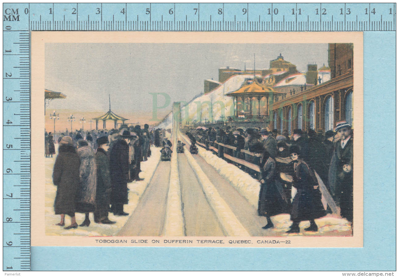 Sports Quebec -PECO, Toboggan Slide On Dufferin Terrace, Animated, Animé - Carte Postale, Postcard - Sports D'hiver