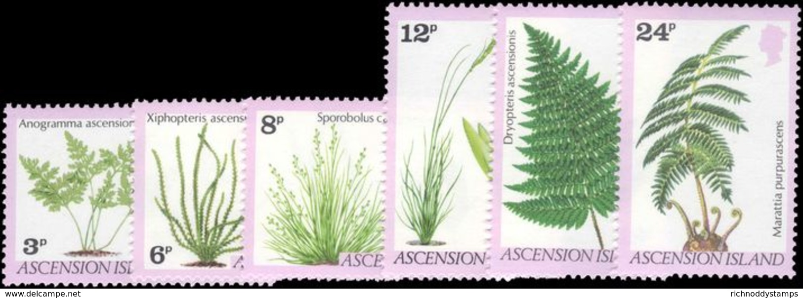 Ascension 1980 Ferns And Grasses Unmounted Mint. - Ascension (Ile De L')