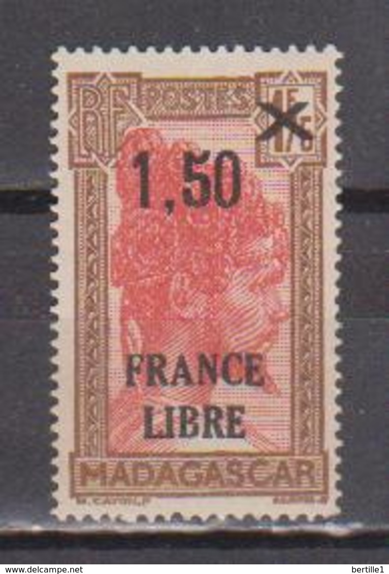 MADAGASCAR              N°  YVERT  262    NEUF SANS GOMME        ( SG  014 ) - Neufs