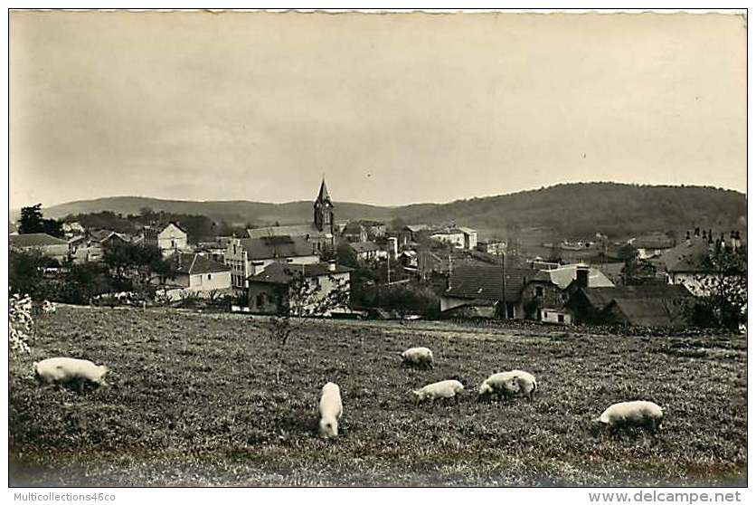 120518 - 46 LATRONQUIERE - Vue Générale - Cochon Porc - Latronquiere