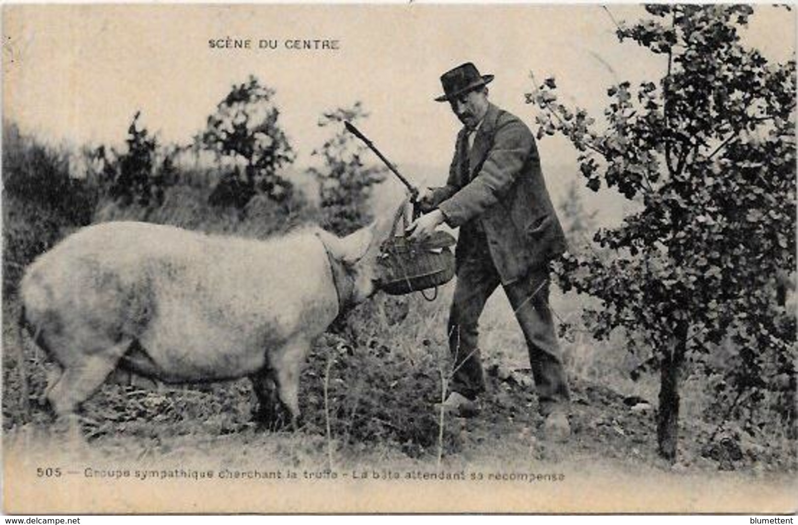 CPA Région Périgord Dordogne Cochon Truffier Pig Truffes Champignon Mushroom Métier Non Circulé - Other