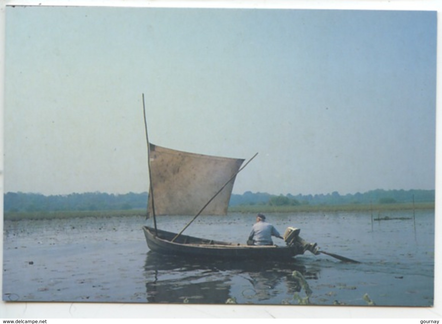 Lac De Grand Lieu : Pêcheur Sur Une Plate à Voile  - édit Maison Du Pêcheur Passy (44) Cp Vierge - Fishing