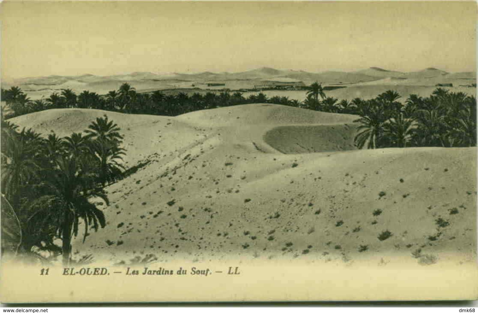 ALGERIA - EL-OUED - LES JARDINS DU SOUF - 1910s (3250) - El-Oued