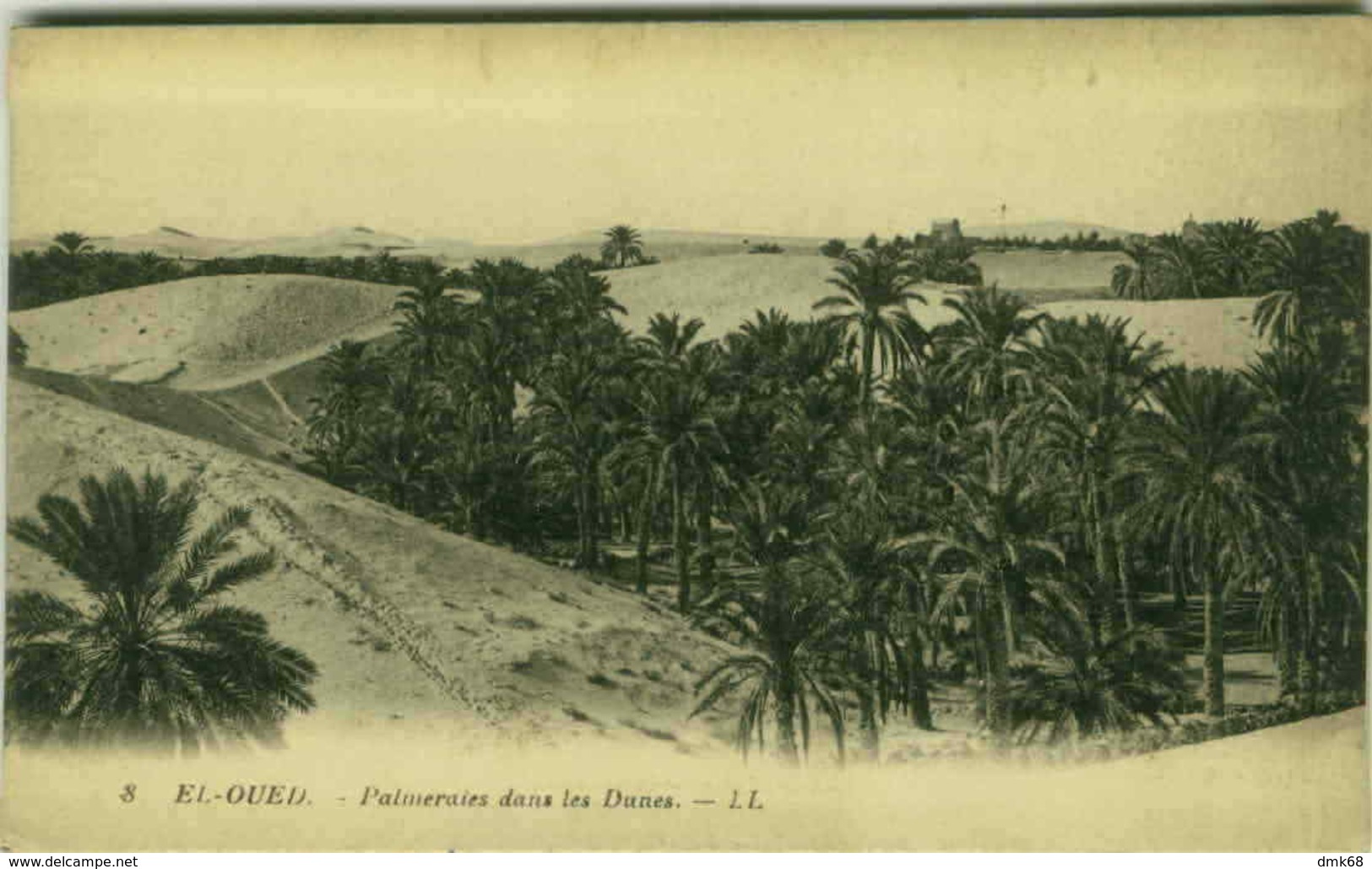 ALGERIA - EL-OUED - PALMERAIES DANS LES DUNES - 1910s (3233) - El-Oued