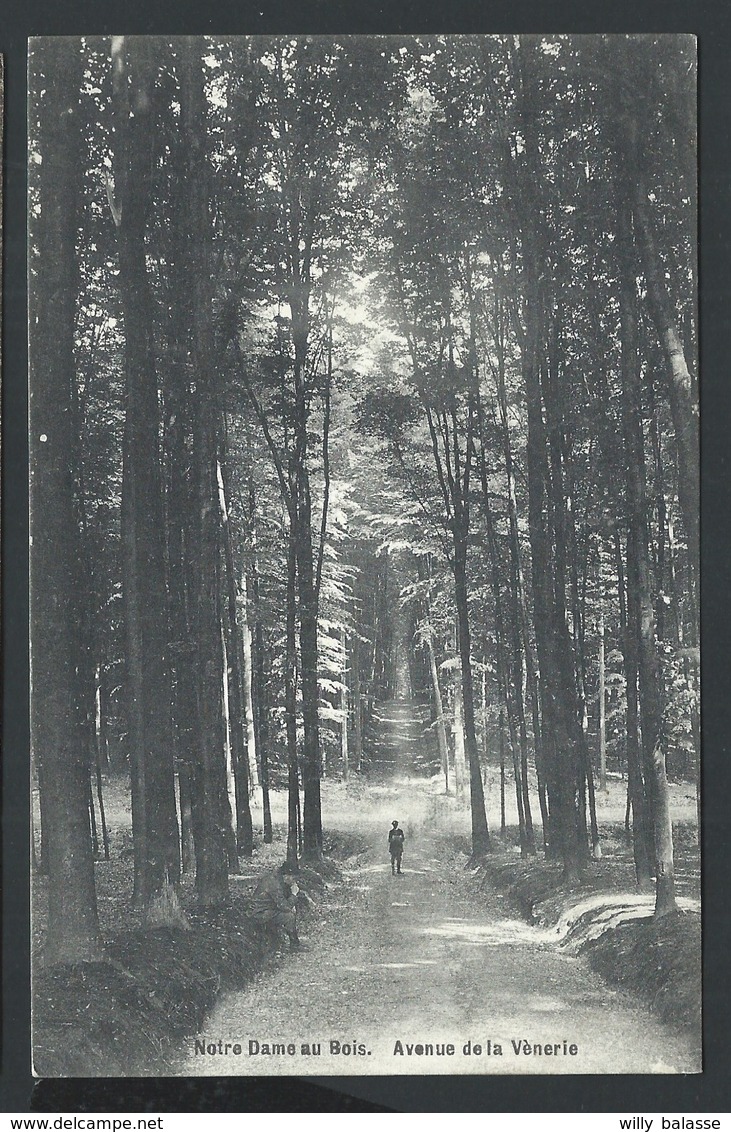 +++ CPA - NOTRE DAME AU BOIS - Avenue De La Vènerie    // - Overijse