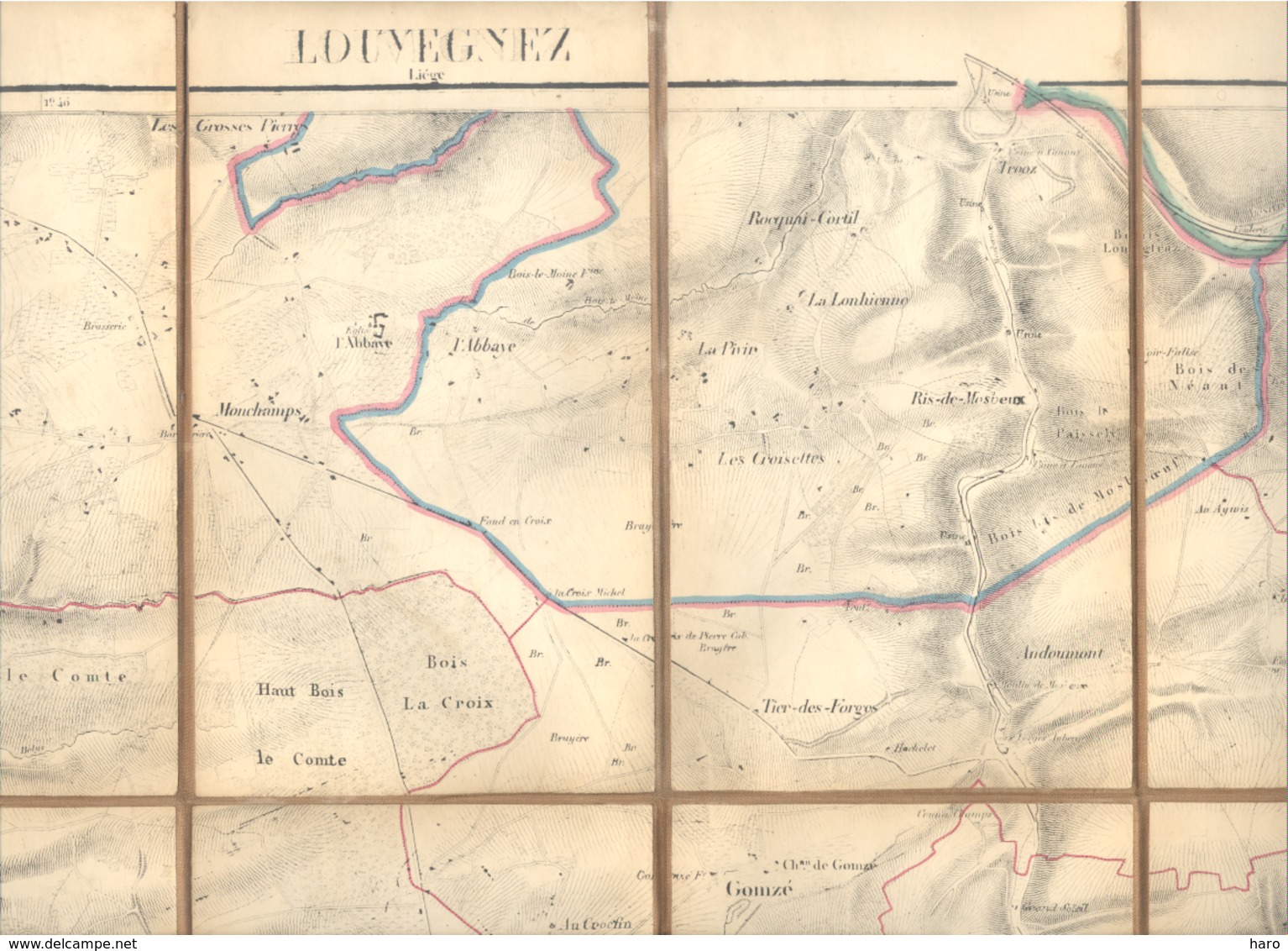 Très Ancienne Carte  Toilée 1:20.000 - Région Louvegnez ( Louveigné, Gomzée, Tilff, Hotchamps, Sprimont ,....(bay) - Topographical Maps