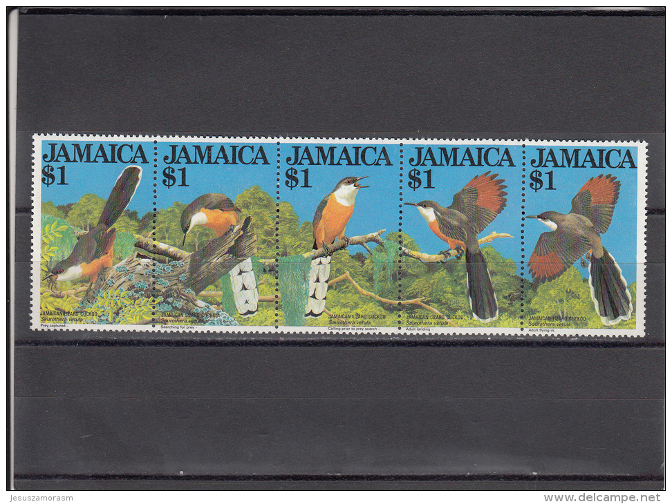 Jamaica Nº 563 Al 567 - Jamaica (1962-...)