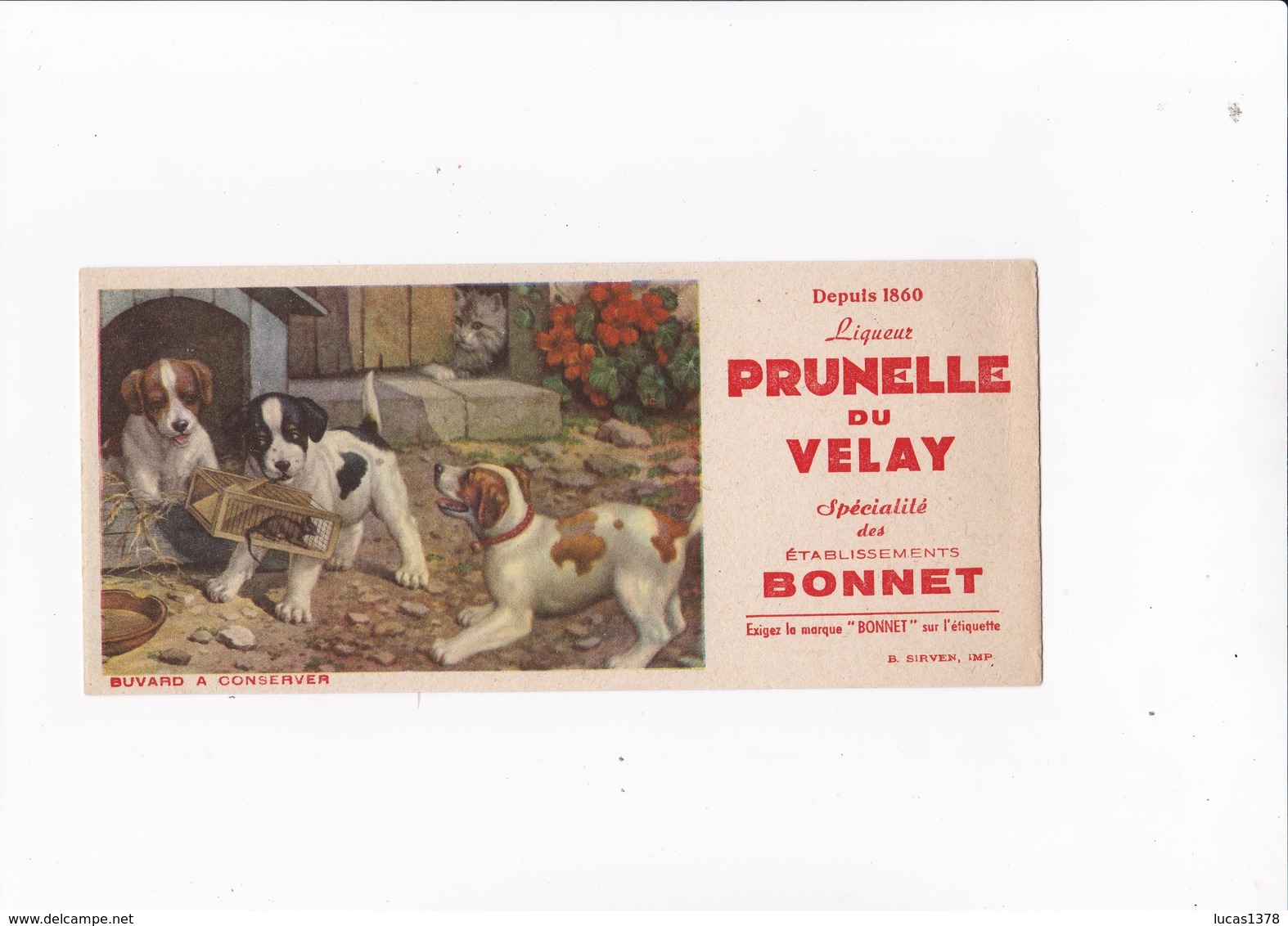 LIQUEUR PRUNELLE DU VELAY / ETABLISSEMENTS BONNET / CHIENS CHIOTS  / RARE ET BEAU BUVARD - Schnaps & Bier