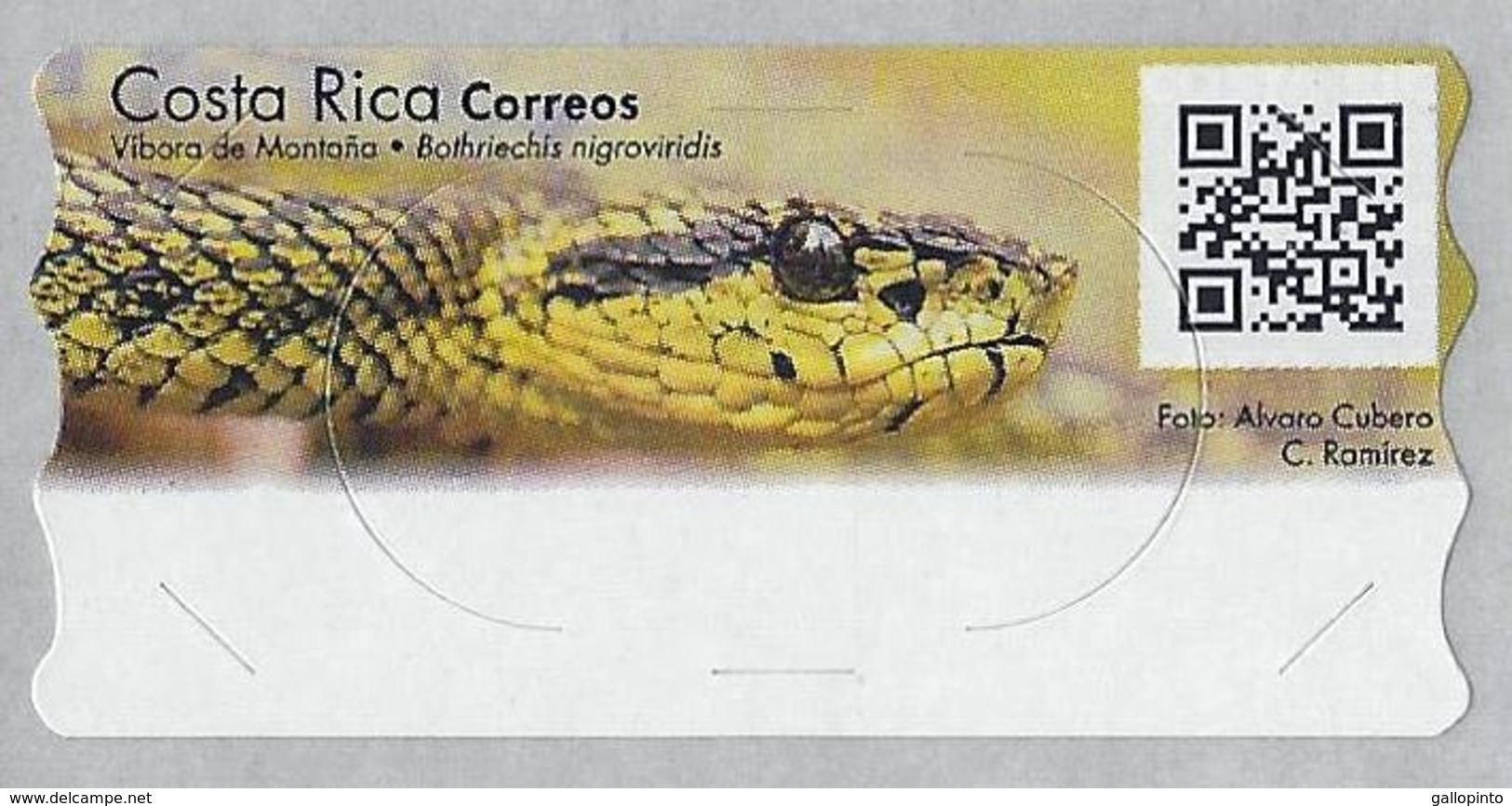 Costa Rica ATM Stamp Labels Without Values,Snake,Víbora De Montaña Mountain Viper MNH - Costa Rica