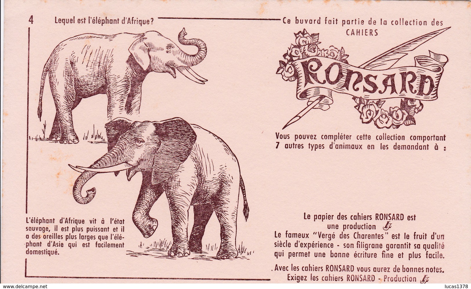 COLLECTION CAHIERS RONSARD / N 4 / ELEPHANTS - Enfants