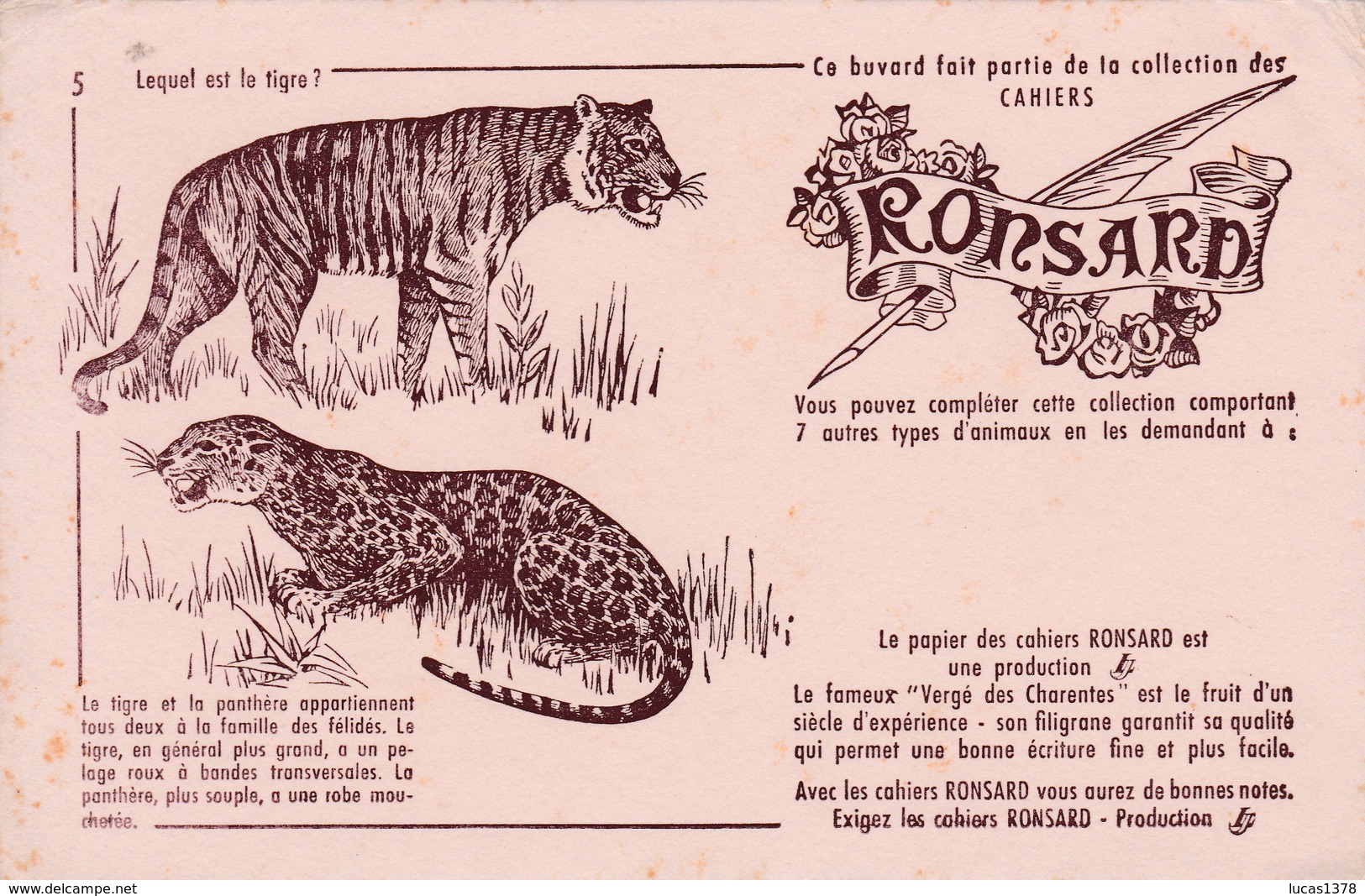 COLLECTION CAHIERS RONSARD / N 5 / TIGRE LEOPARD - Infantiles