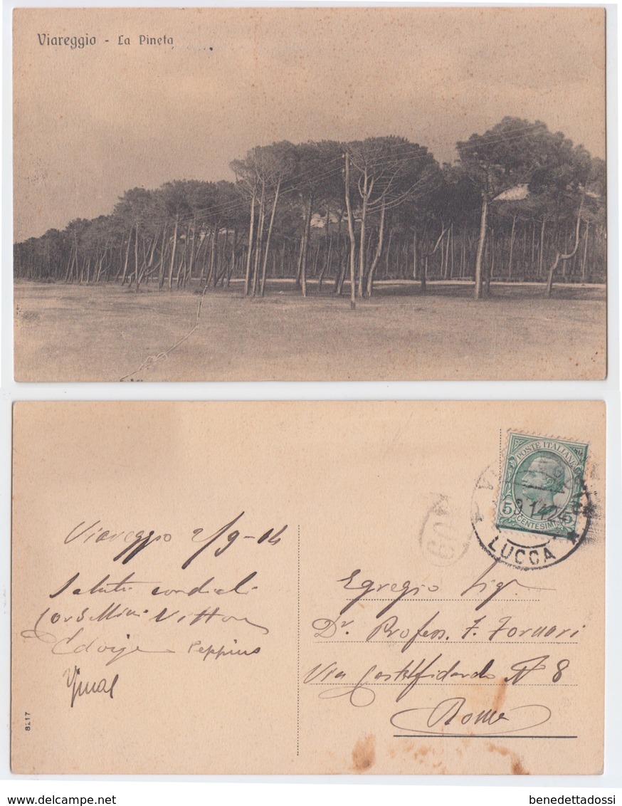 Viareggio - La Pineta, Viaggiata 1914 - Viareggio