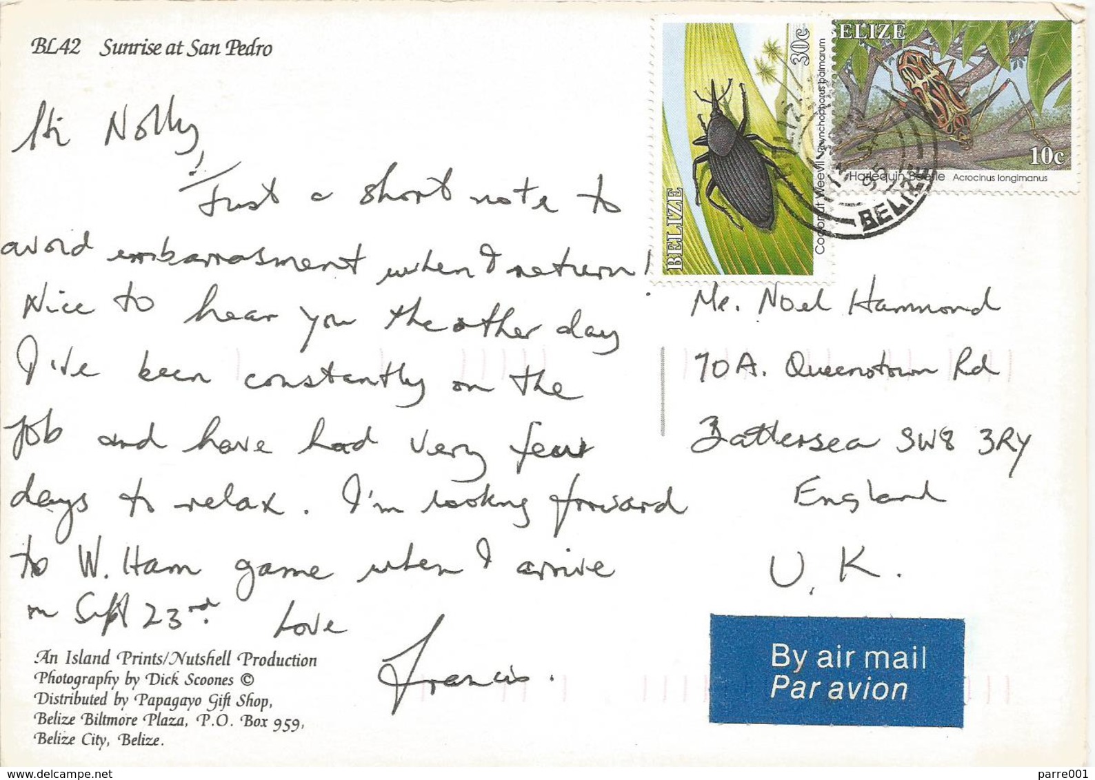 Belize 1995 City Harlequine Beetle Coconut Weevil Viewcard - Belize (1973-...)