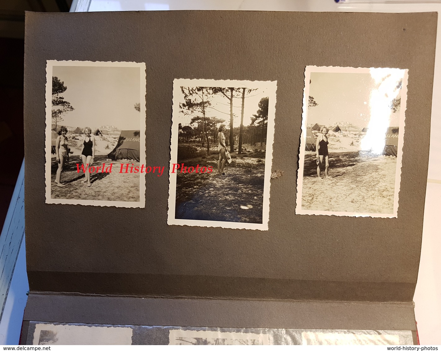 Album de + de 160 photos - CALVI ( Corse ) - Le Club Olympique - vers 1950 - Sport Plage Activité Homme Femme Avion