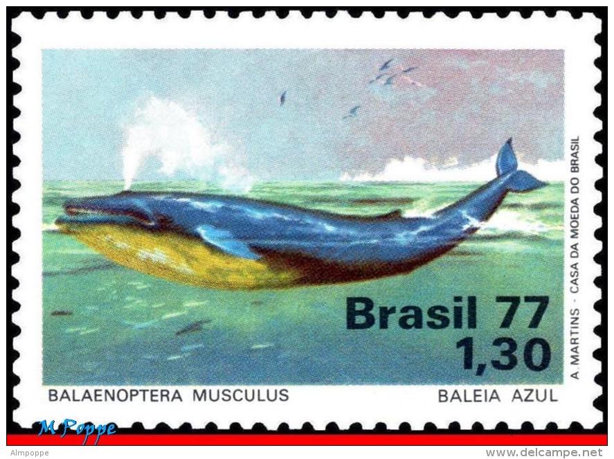 Ref. BR-1510 BRAZIL 1977 SEA MAMMALS, BLUE WHALE, PROTECTION OF, MARINE LIFE, MI# 1597, MNH 1V Sc# 1510 - Baleines