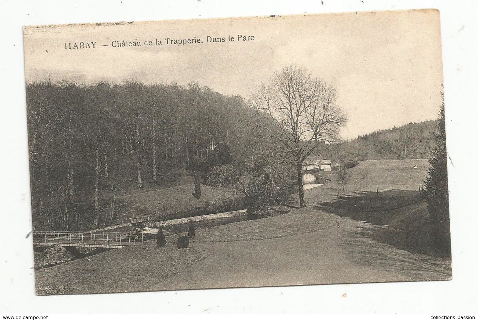 Cp , Belgique , Luxembourg , HABAY , Château De La Trapperie , Dans Le Parc , Voyagée 1919 , Ed. Bastin - Habay