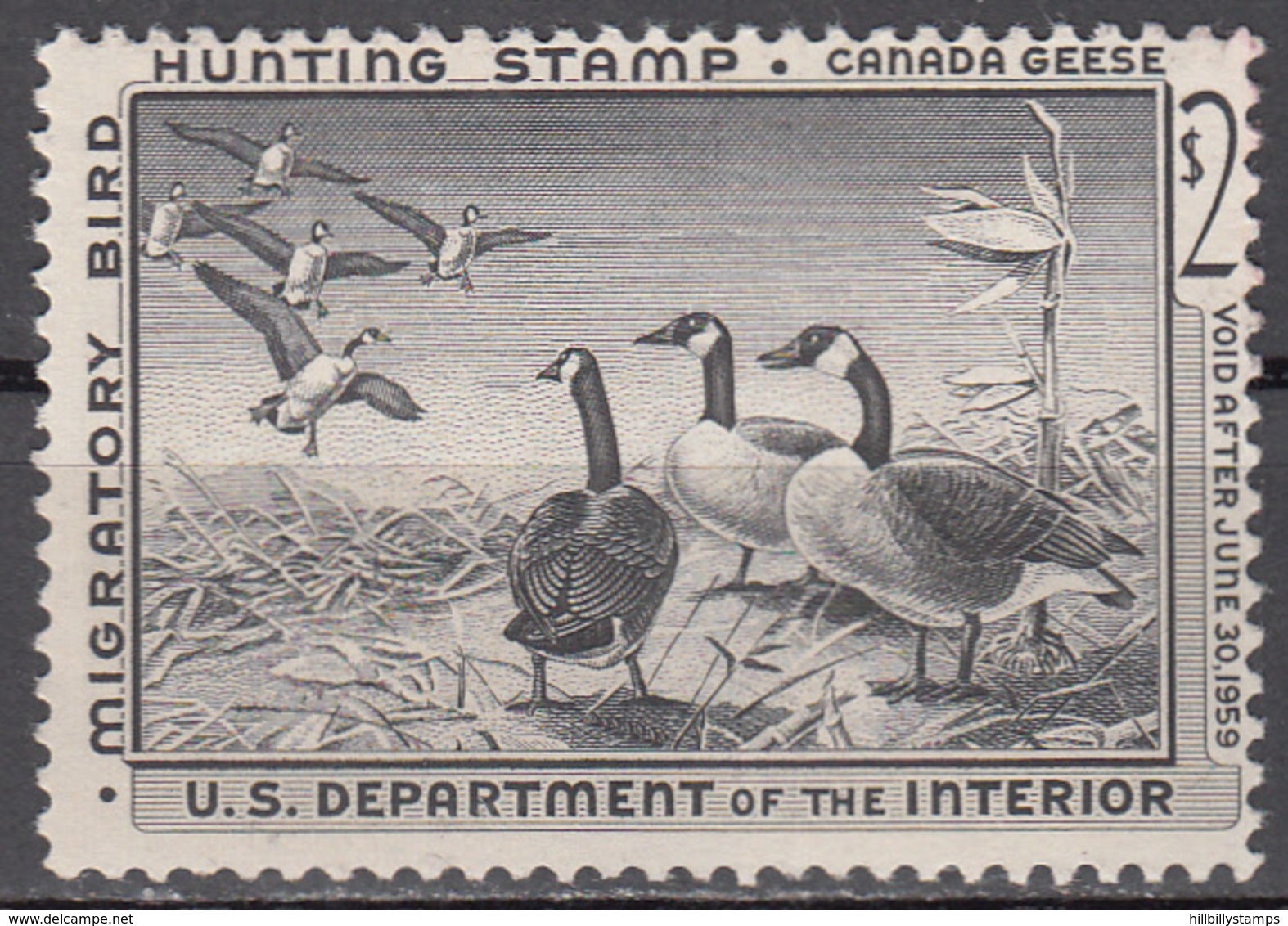 UNITED STATES   SCOTT NO. RW25    MNH    YEAR  1958 - Duck Stamps