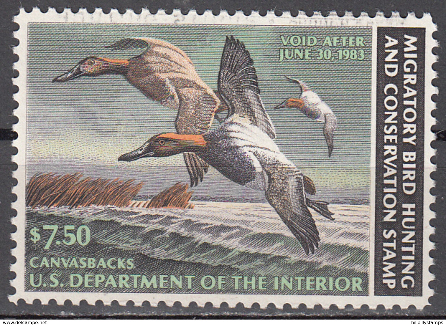 UNITED STATES   SCOTT NO. RW49     USED   YEAR  1982 - Duck Stamps