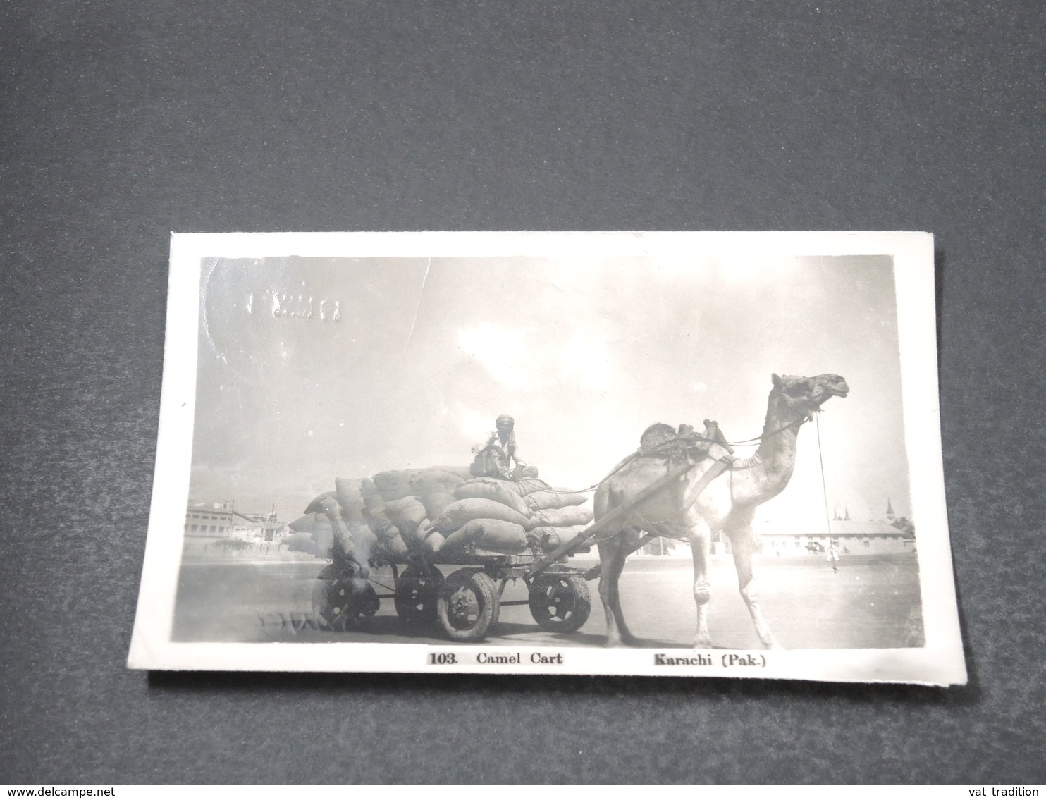 PAKISTAN - Carte Postale Photo - Karachi - Camel Cark - Voyagé En 1954 - L 16921 - Pakistan