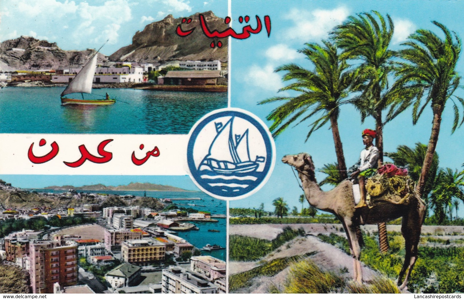 Postcard Aden / Yemen Camel Among Palms Lahej Maalla And The Crescent Steamer Point  My Ref  B12168 - Yemen