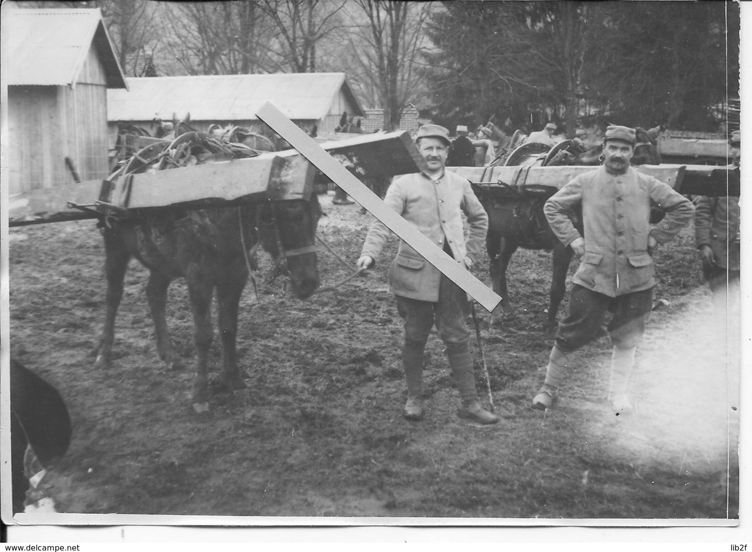 1915 Vosges Soldats Français Ravitaillement Des Tranchées Mulets Chargés De Planches 1 Photo Ww1 1914-1918 - War, Military