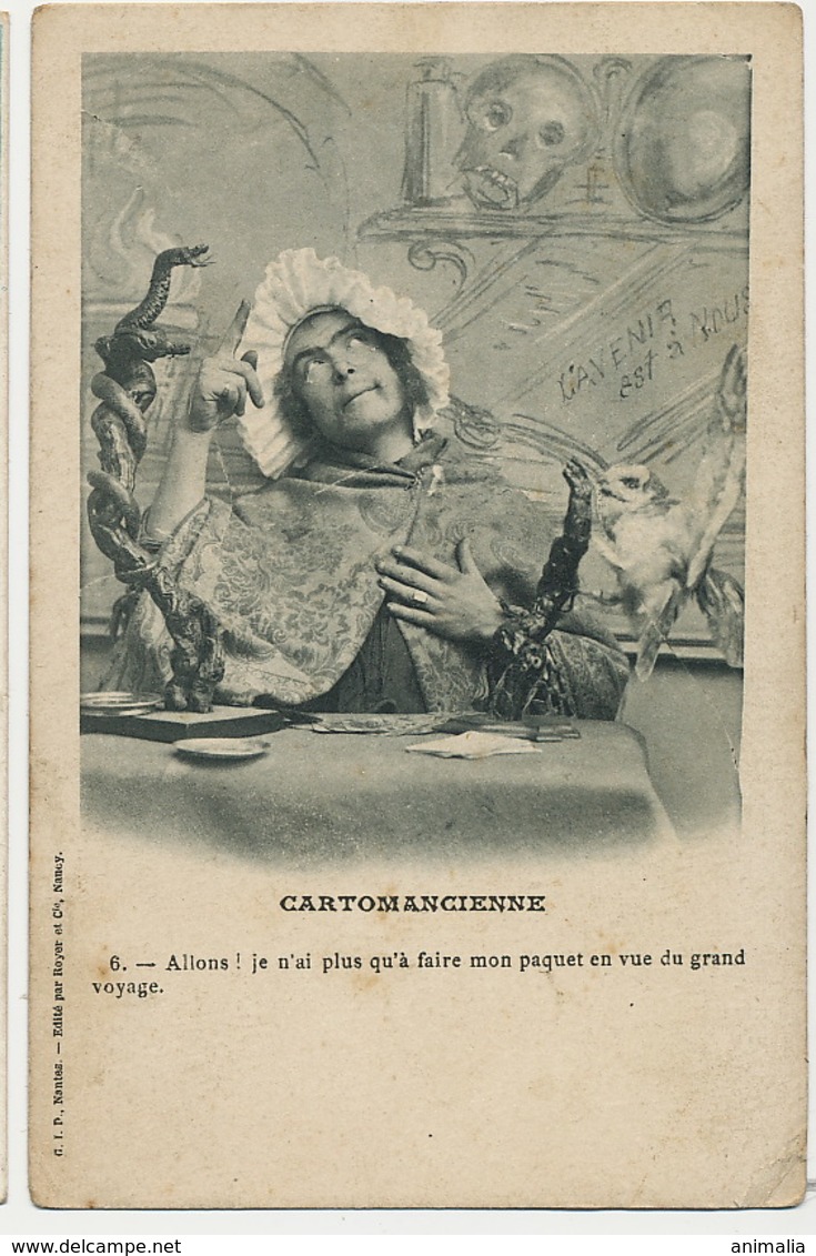 Cartomancienne Tireuse Cartes Homme Travesti Fortune Teller Chouette Serpent Crane Coin Abimé - Autres & Non Classés