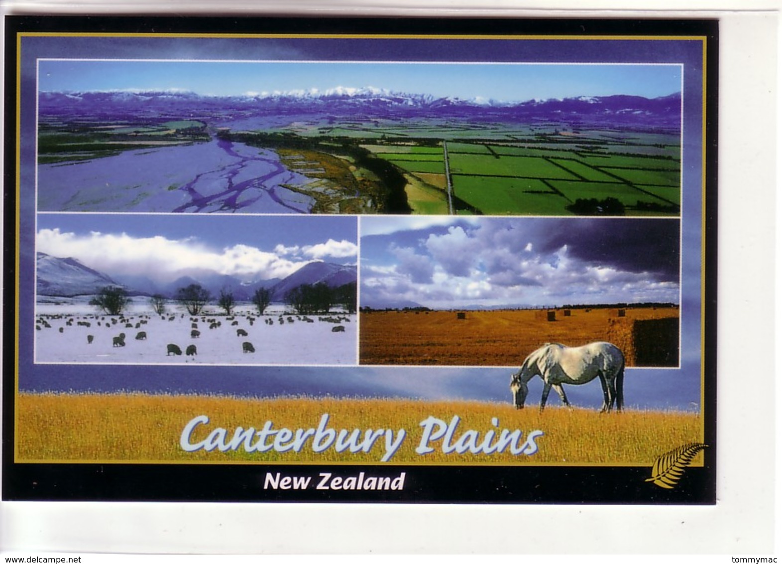 Canterbury Plains, New Zealand ! Tri-View ! - New Zealand