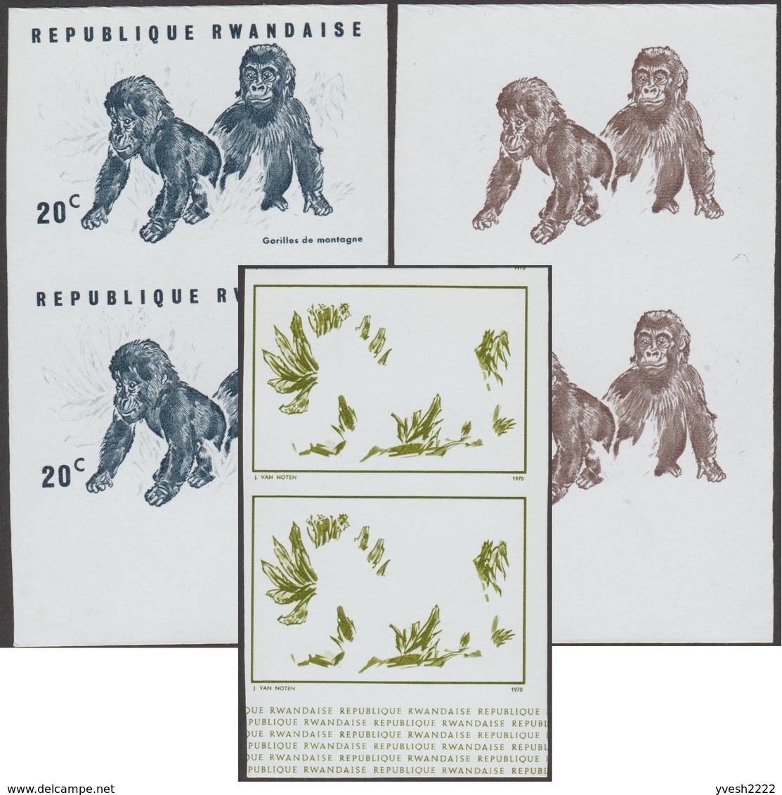 Rwanda 1970 COB 370. 3 Essais De Couleurs. Gorilles Des Montagnes. Jeunes Primates - Gorilas
