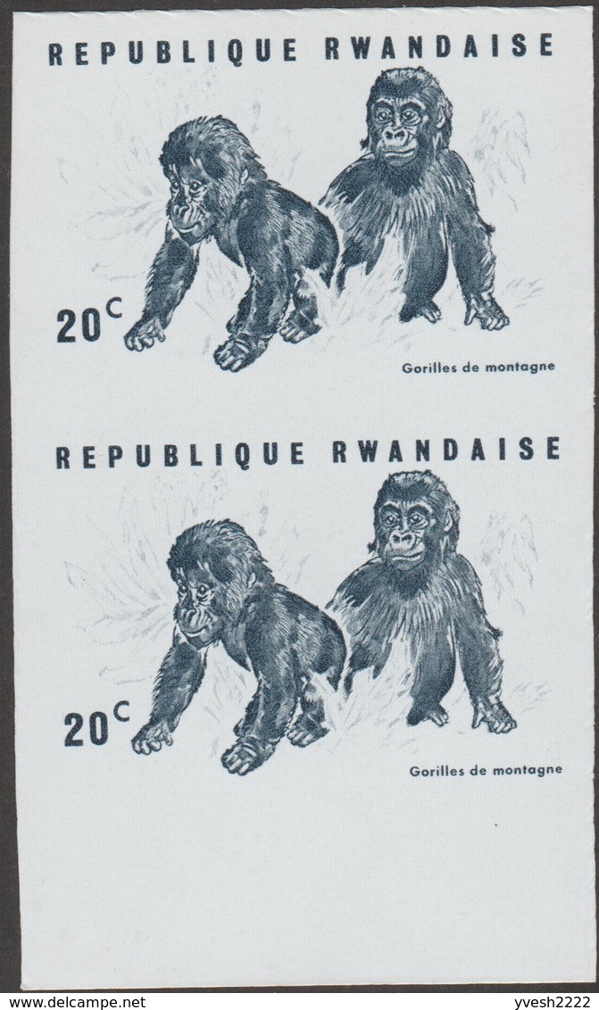 Rwanda 1970 COB 370. 3 Essais De Couleurs. Gorilles Des Montagnes. Jeunes Primates - Gorilla