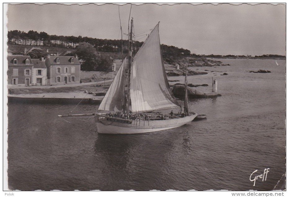 Cpsm Grand Format CONCARNEAU - Thoniers Rentrant De Pêche (immatriculé à Groix : LGX 3929) - Concarneau