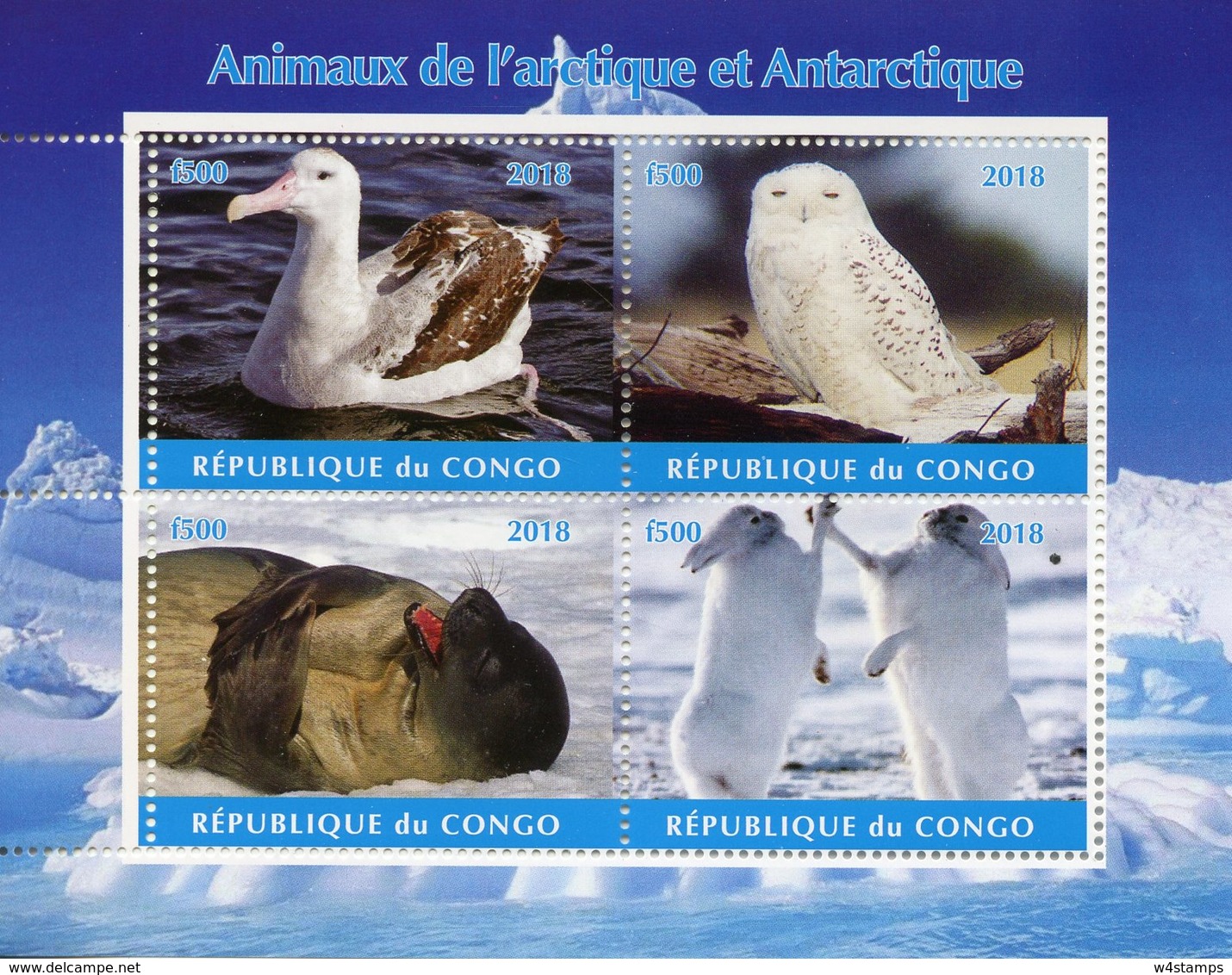 Congo 2018 MNH Wild Animals Of Arctic & Antarctic 4v M/S II Owls Albatross Seals Hares Birds Stamps - Other & Unclassified