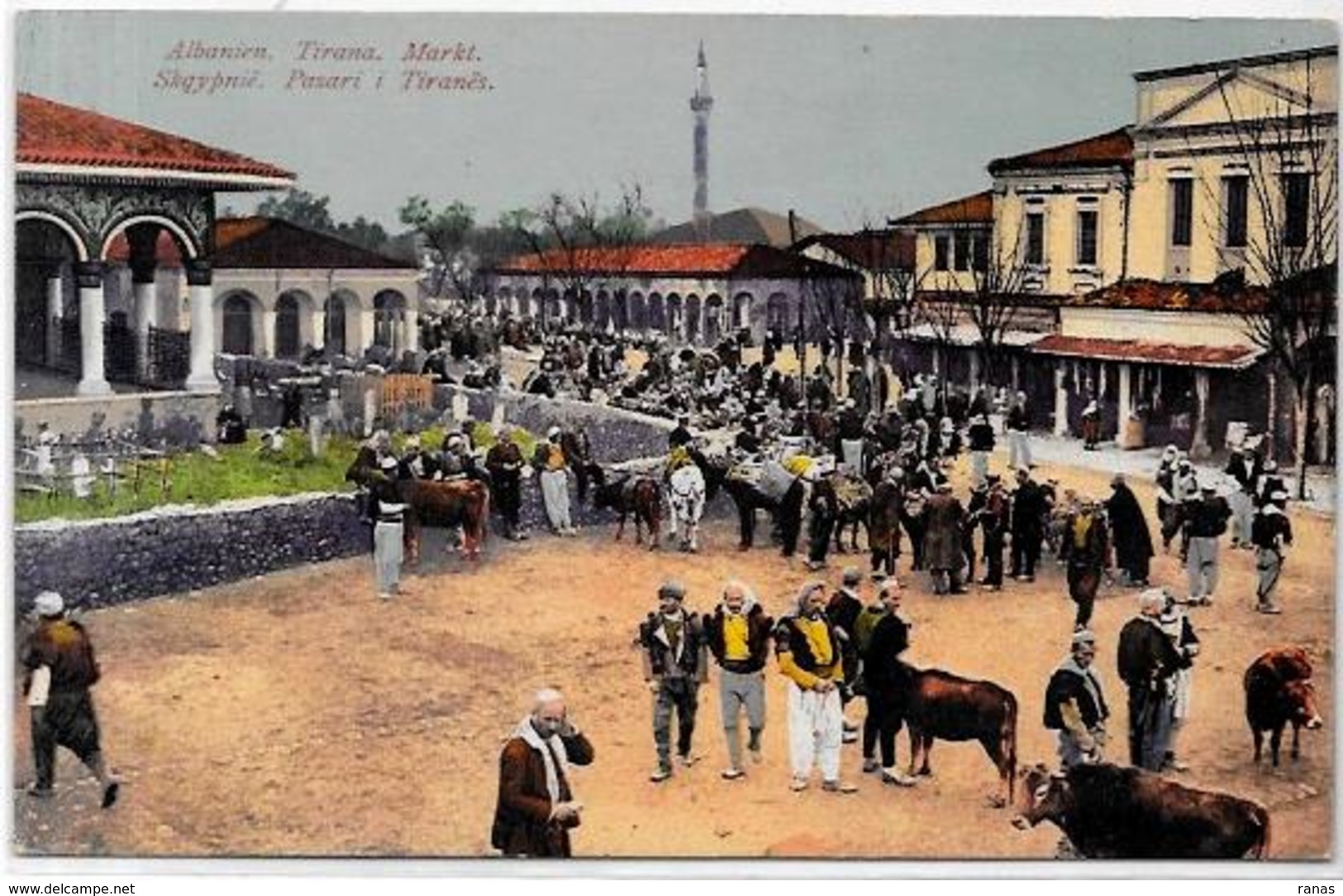 CPA Albanie Albania Non Circulé Marché Métier TIRANA - Albania