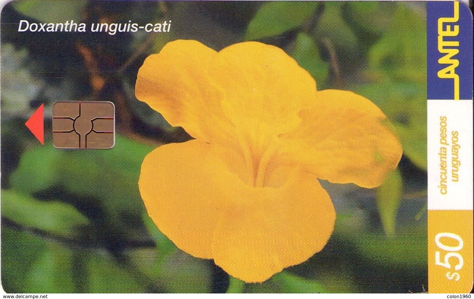 TARJETA TELEFONICA DE URUGUAY, 170a (071) FLORA - Uruguay