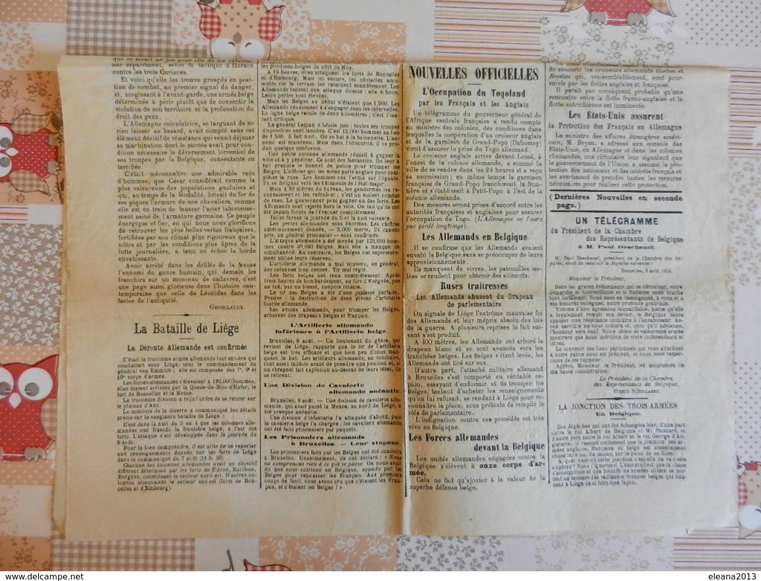 L'écho De L'est WWI Guerre 14/18 Bataille De Liège Les Allemands En Déroute 40000 Belges Ont Battu 120000 Allemands - Autres & Non Classés