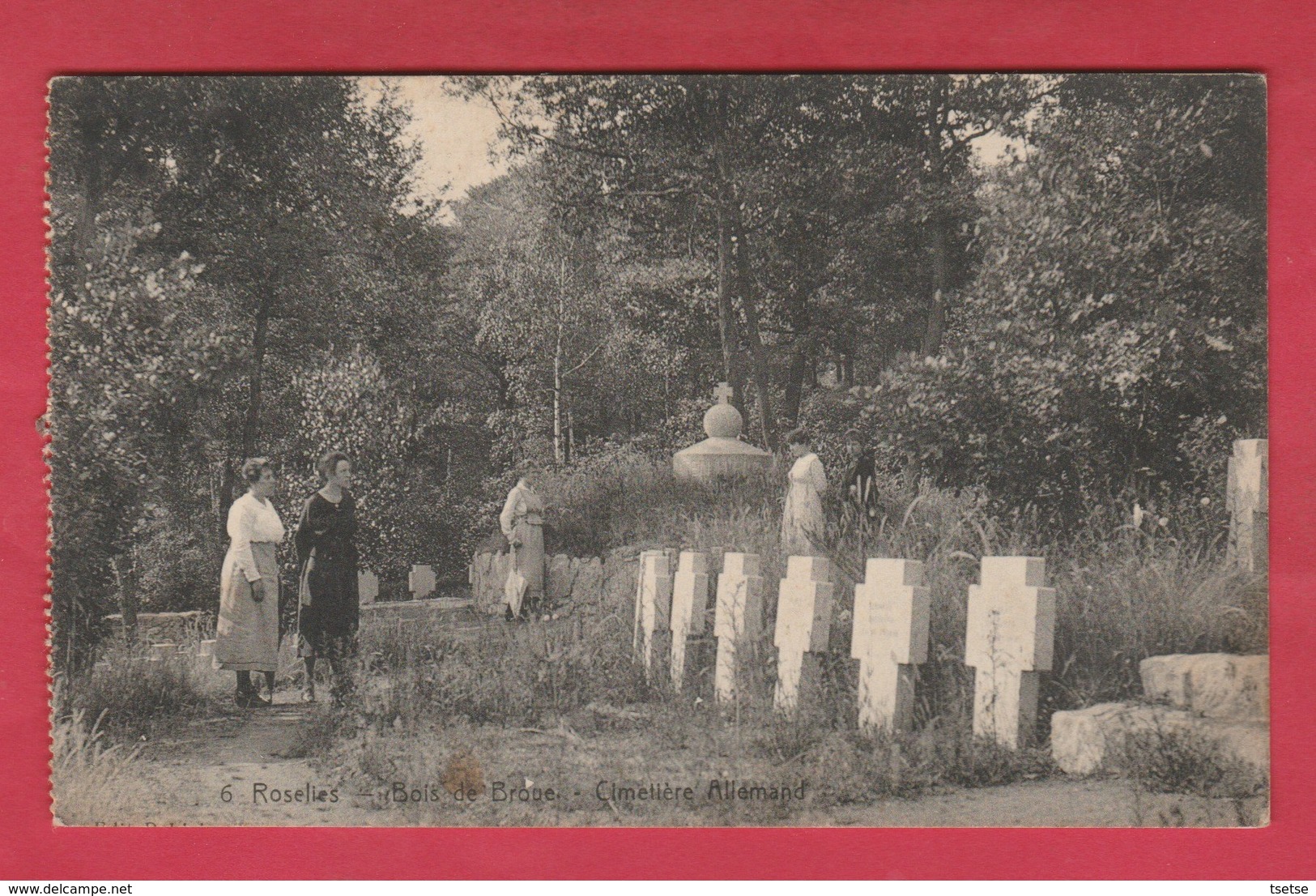 Roselies - Bois De Broue - Cimetière Allemand ( Voir Verso ) - Aiseau-Presles