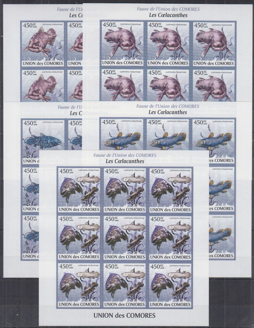 U12. 9x Comores - MNH - Marine Life - Full Sheet - 2009 - Imperf - Vie Marine