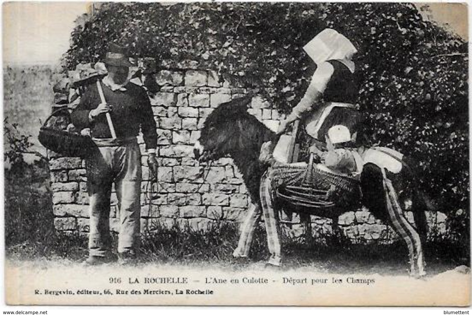 CPA Ane Anes Donkey Non Circulé Métier La Rochelle - Ezels