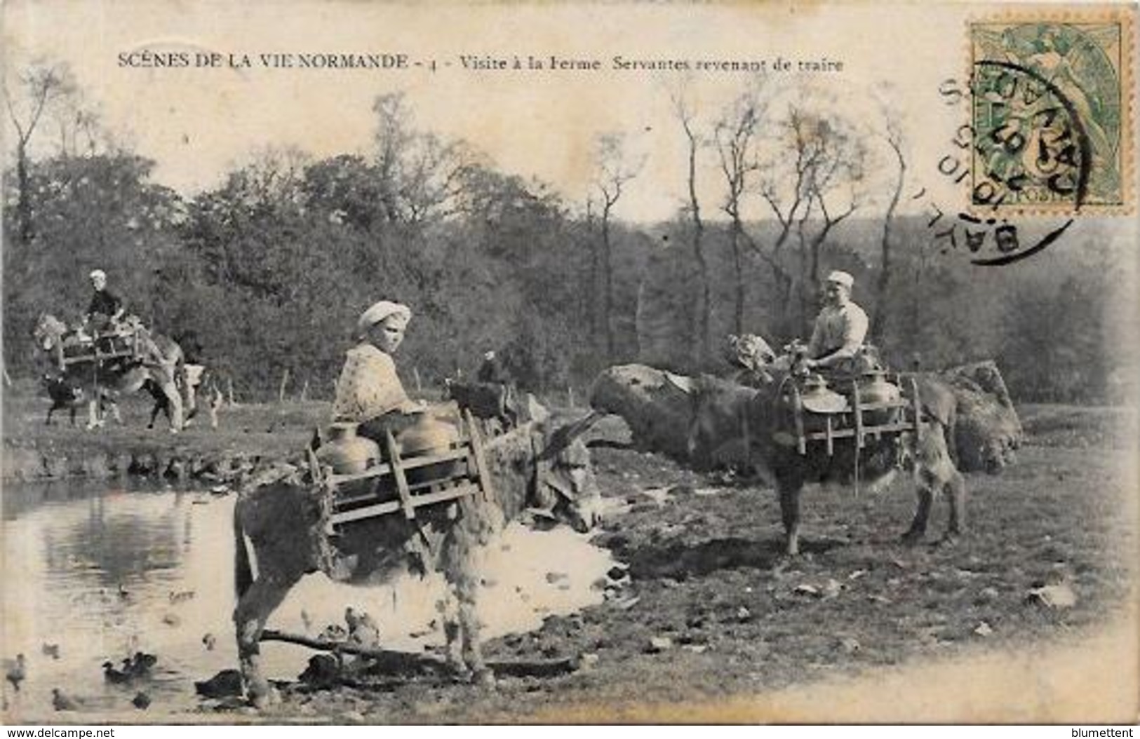 CPA Ane Anes Donkey Circulé Métier Normandie Ferme - Anes