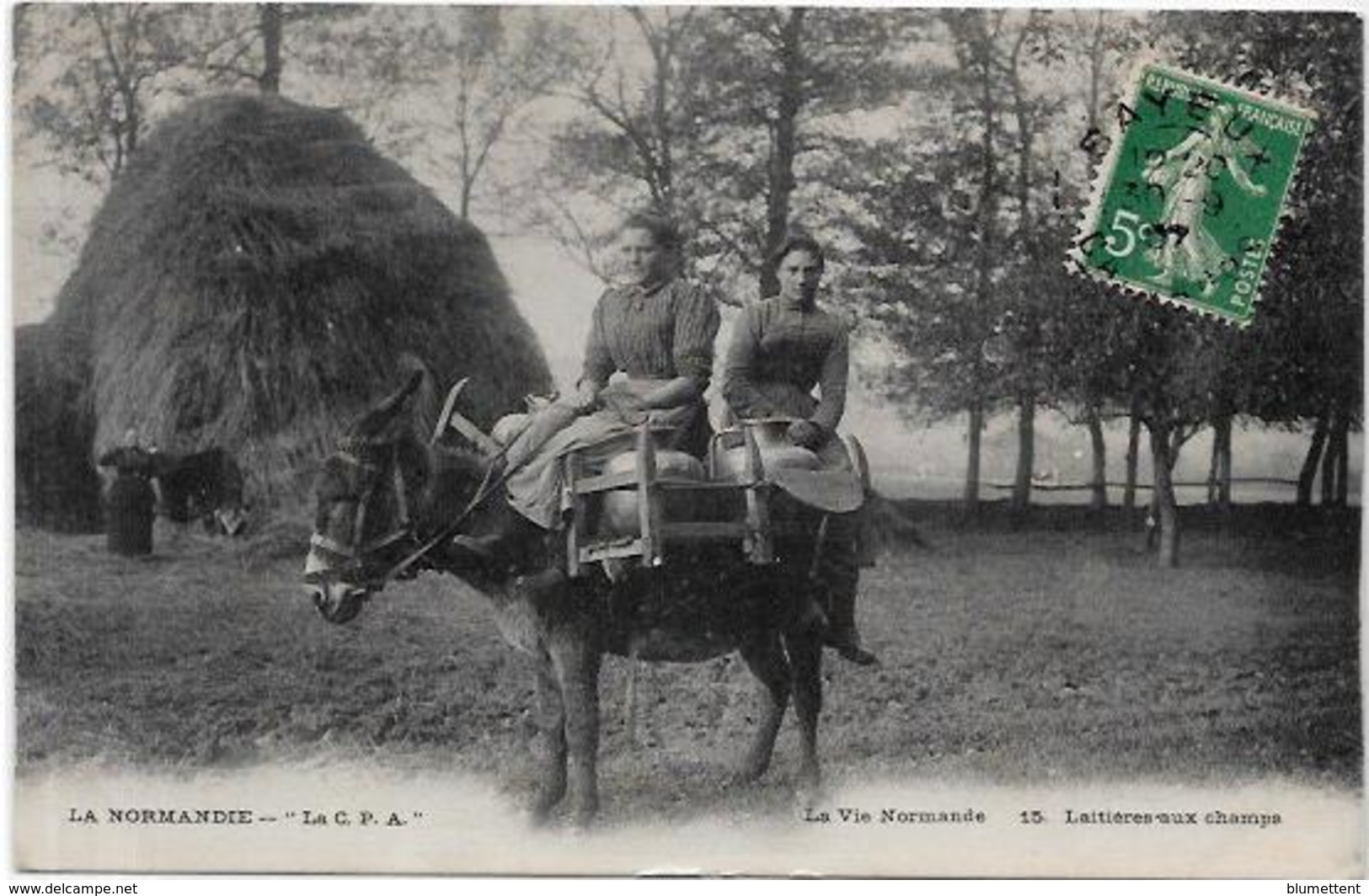 CPA Ane Anes Donkey Circulé Métier Normandie - Ezels
